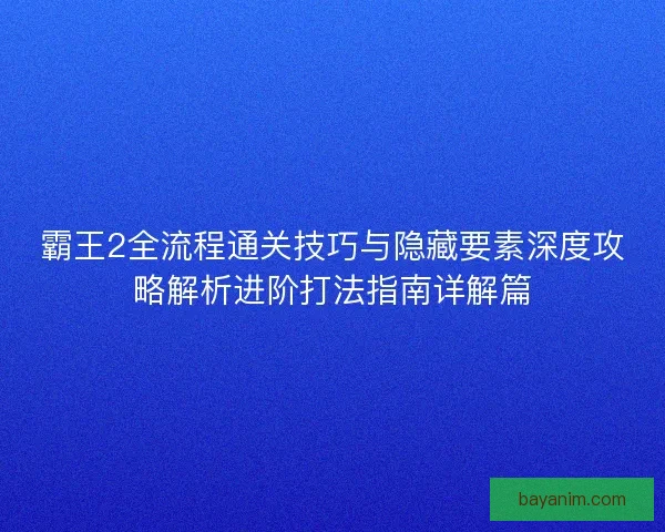 霸王2全流程通关技巧与隐藏要素深度攻略解析进阶打法指南详解篇