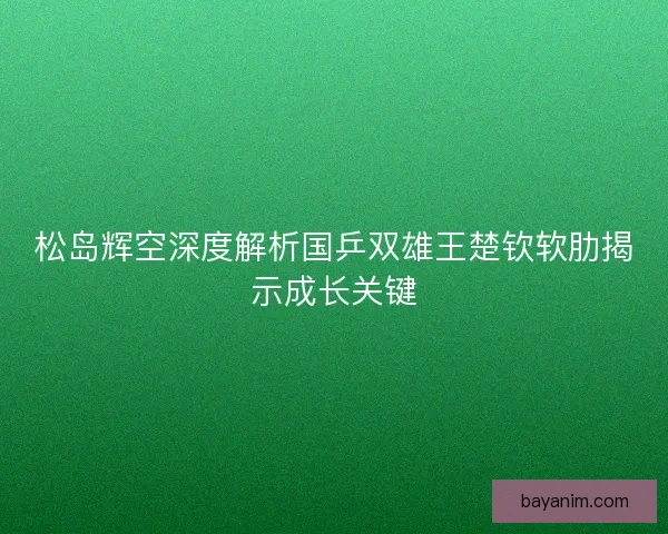 松岛辉空深度解析国乒双雄王楚钦软肋揭示成长关键